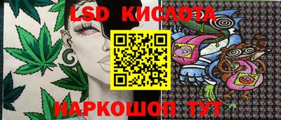 ГАЛЛЮЦИНОГЕННЫЕ ГРИБЫ Заволжье