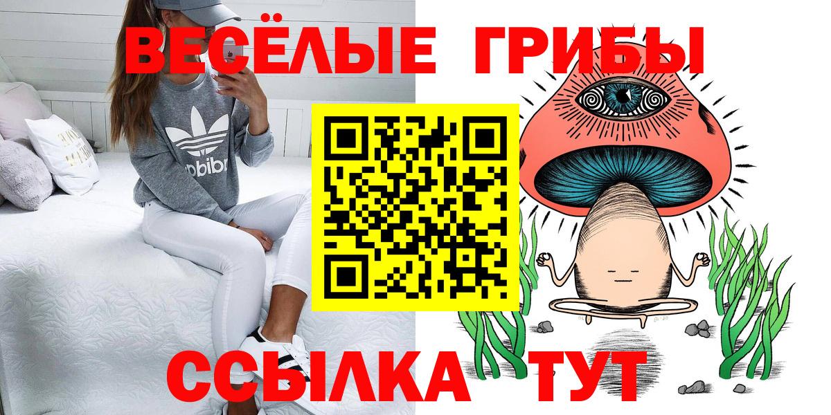 Галлюциногенные грибы мицелий Кушва