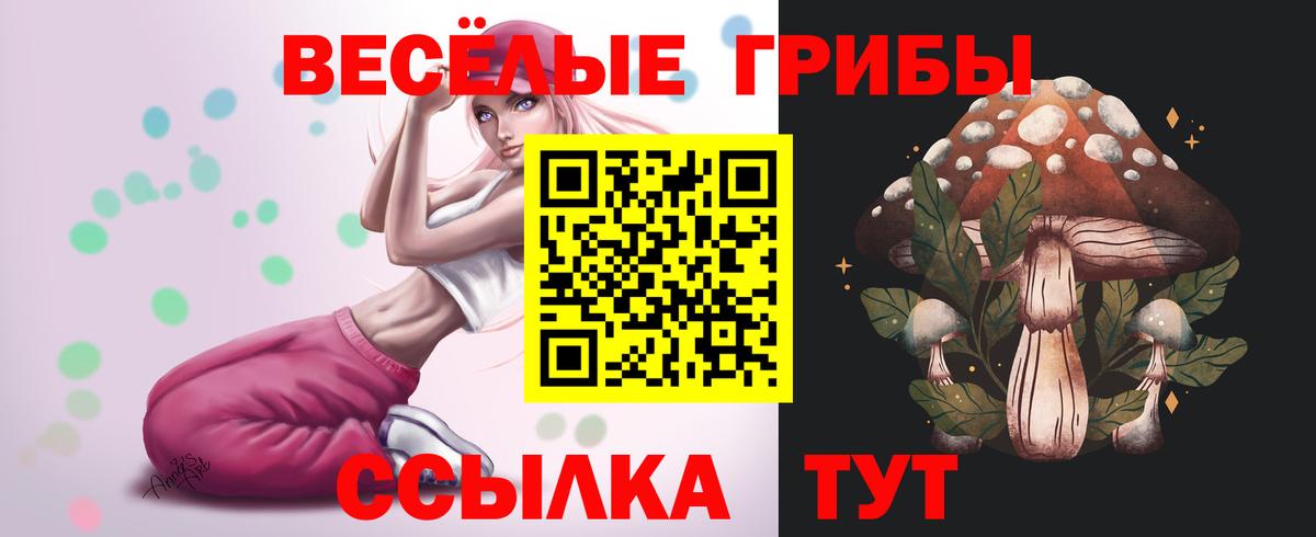 Кушва  Галлюциногенные грибы MAGIC MUSHROOMS  Вход с VPN  Галлюциногенные грибы Psilocybine cubensis 